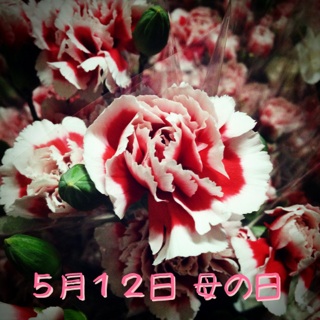 Ａｉの日記(^^) mother's day